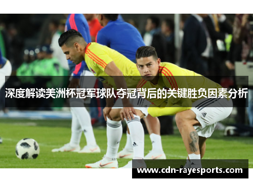 深度解读美洲杯冠军球队夺冠背后的关键胜负因素分析